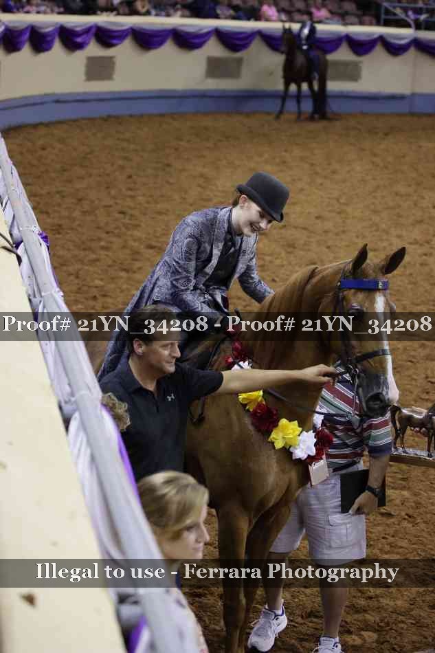 Proof 21YN_34208