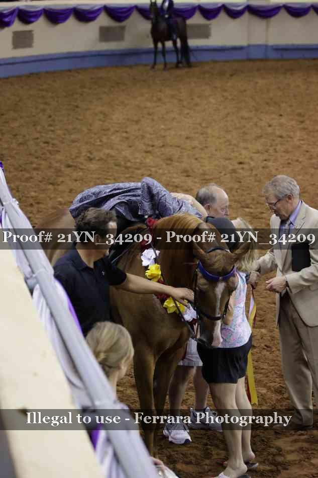 Proof 21YN_34209
