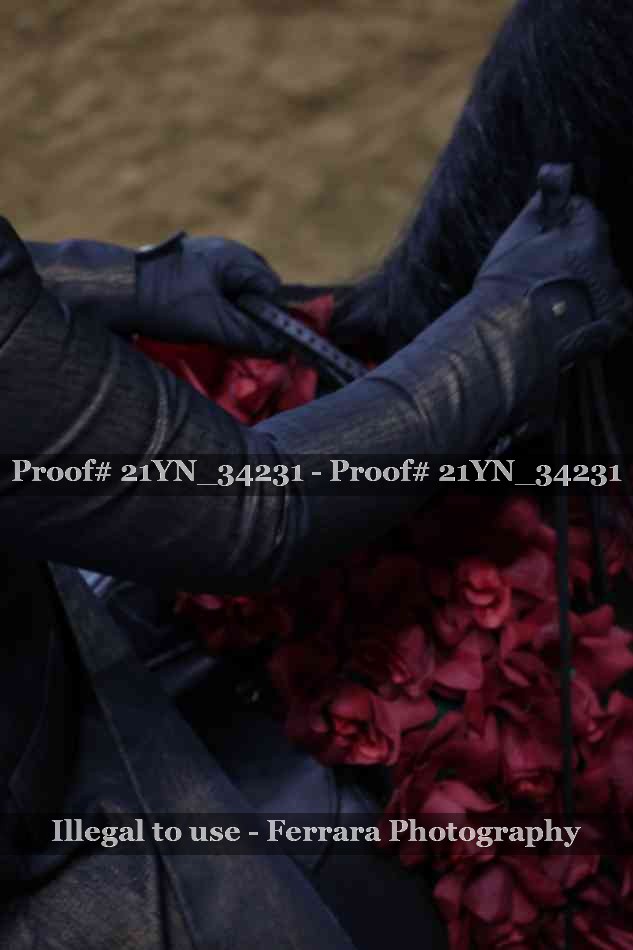 Proof 21YN_34231