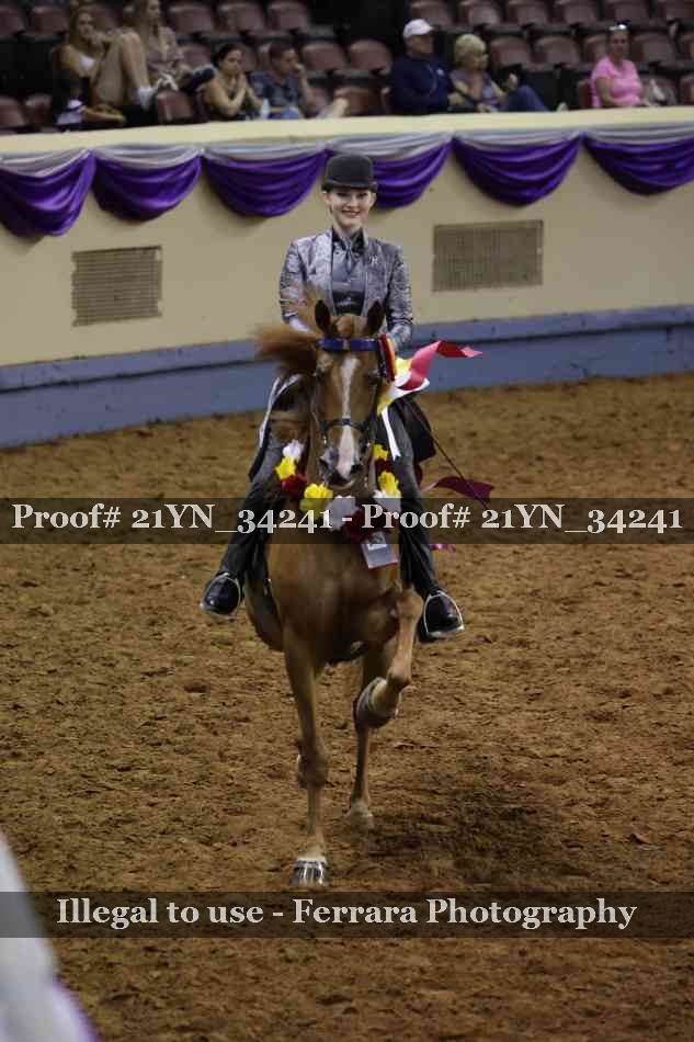Proof 21YN_34241