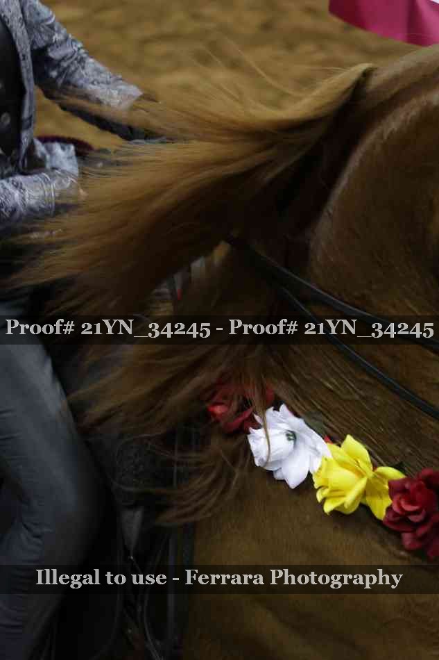 Proof 21YN_34245