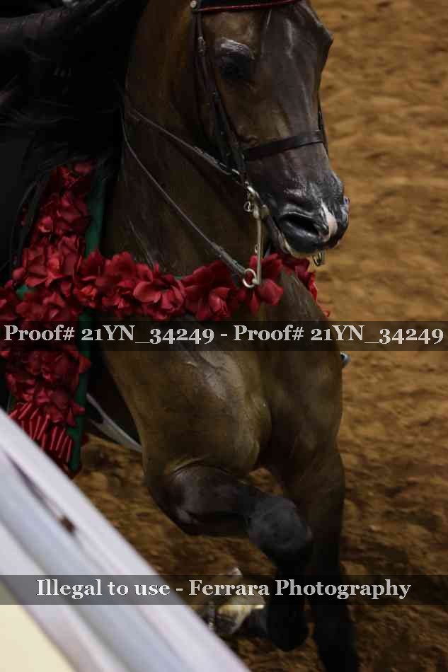Proof 21YN_34249