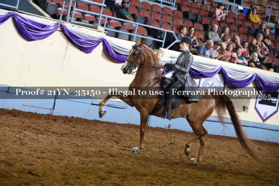 Proof 21YN_35150