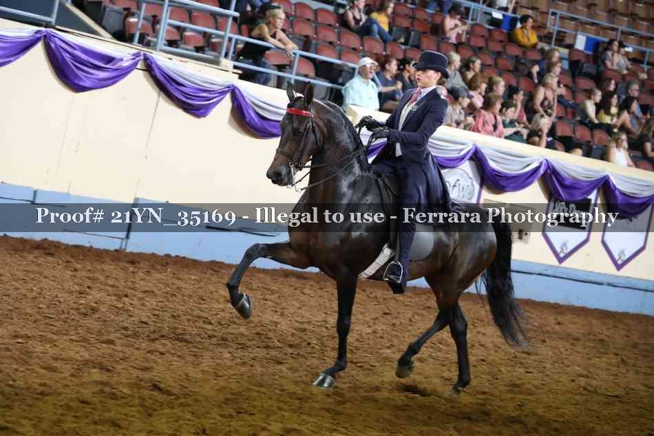 Proof 21YN_35169