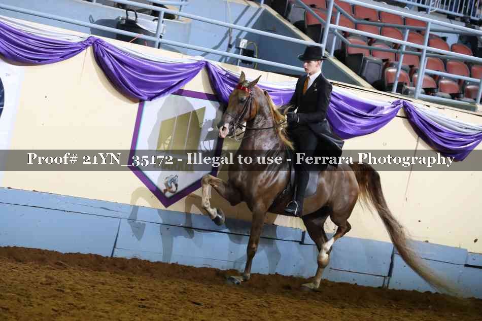 Proof 21YN_35172