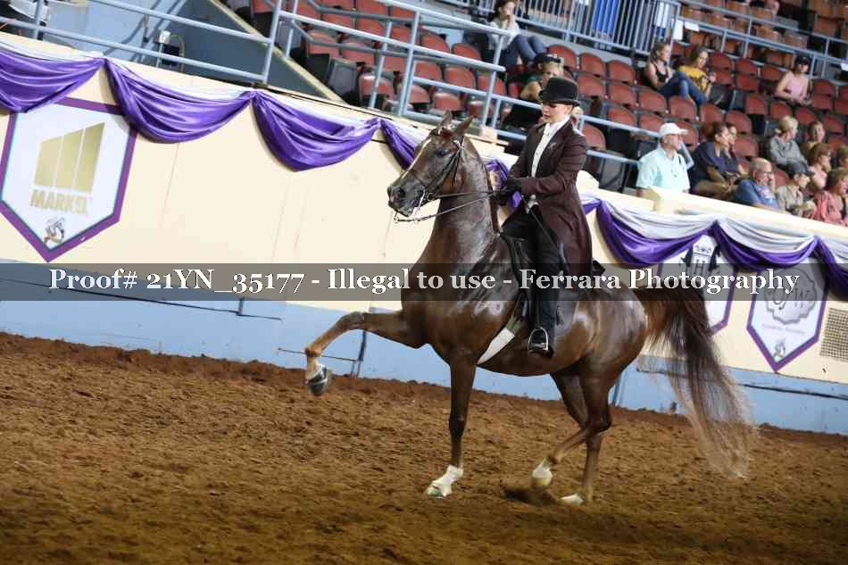 Proof 21YN_35177