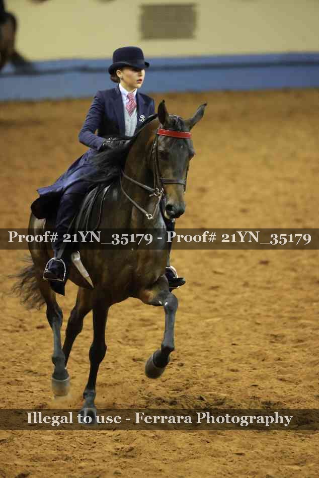 Proof 21YN_35179