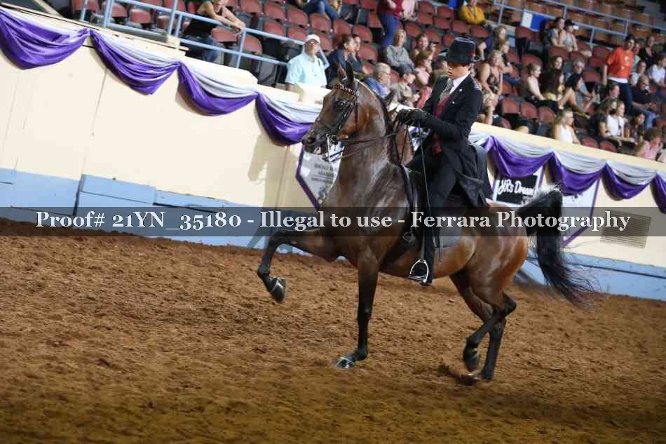 Proof 21YN_35180