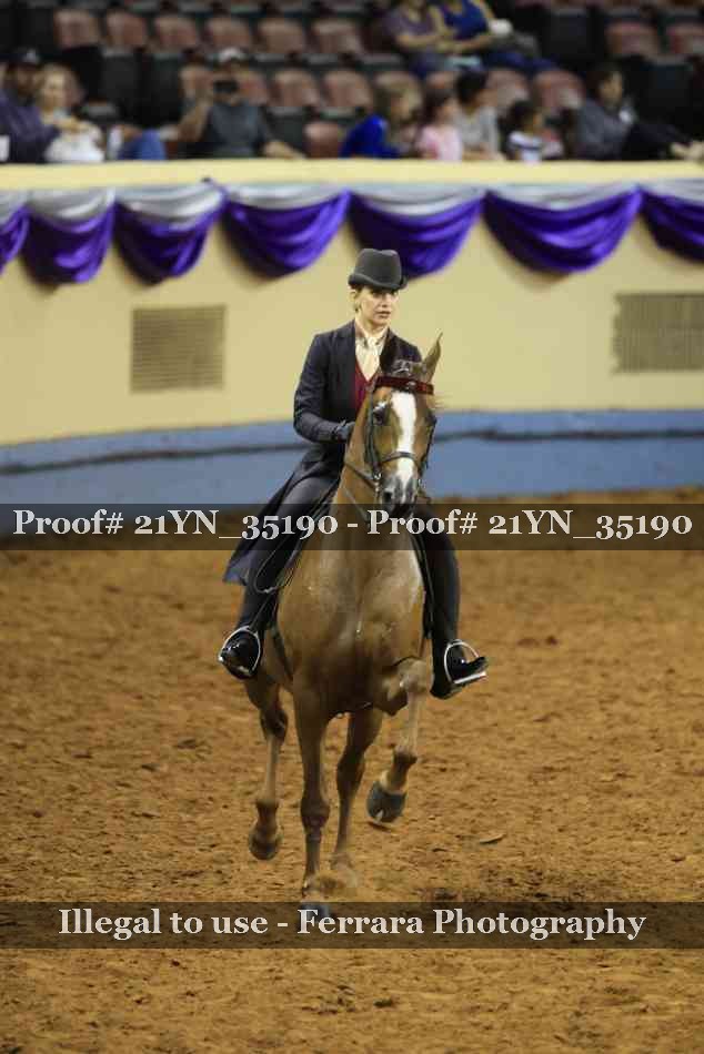 Proof 21YN_35190