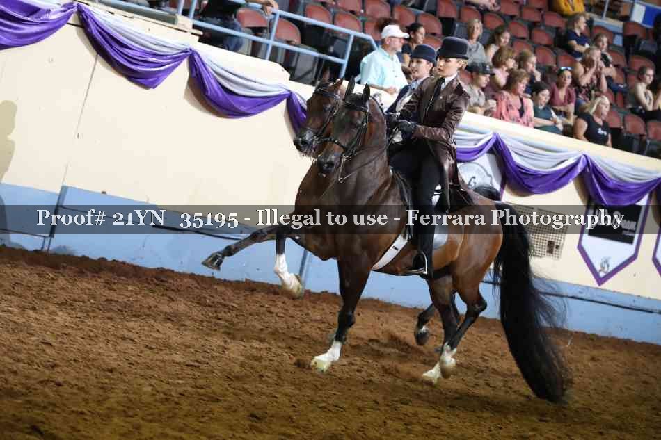 Proof 21YN_35195