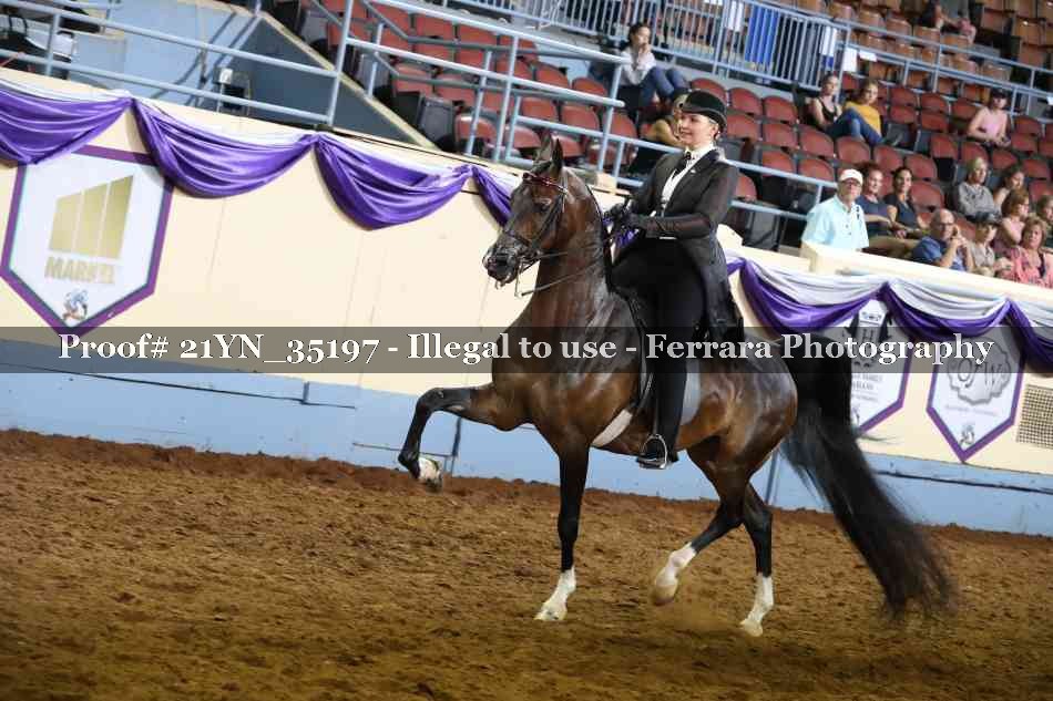 Proof 21YN_35197