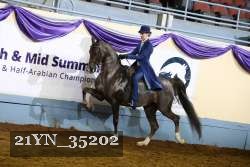 21YN_35202 proof