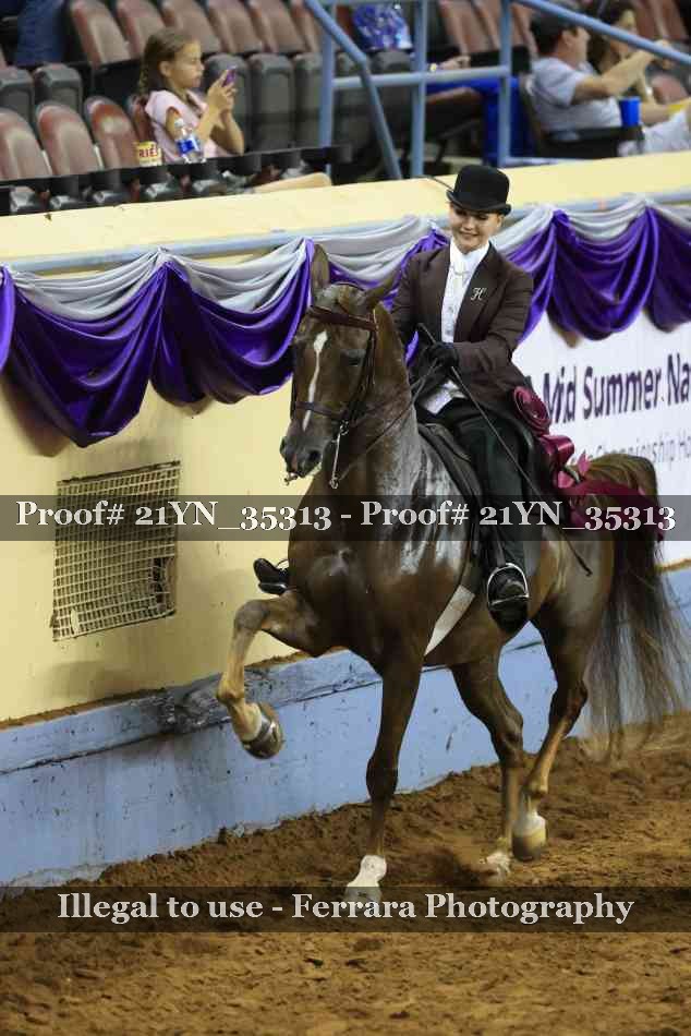 Proof 21YN_35313