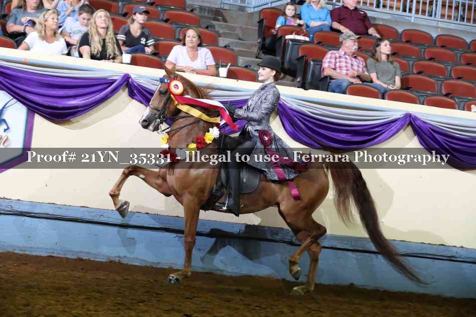Proof 21YN_35331