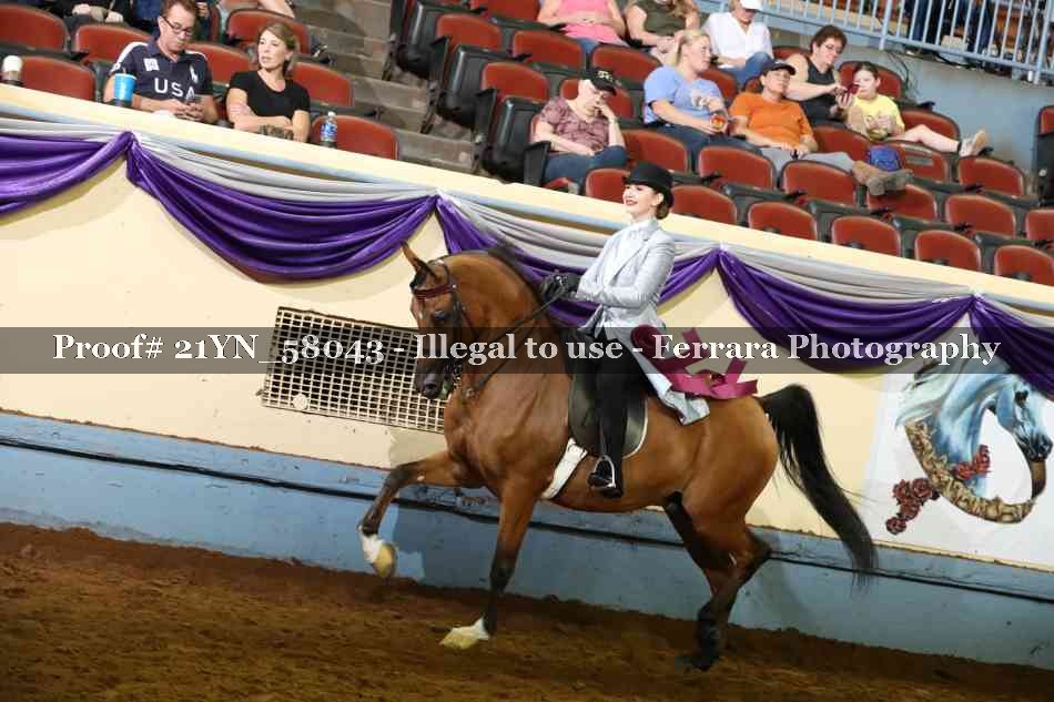 Proof 21YN_58043