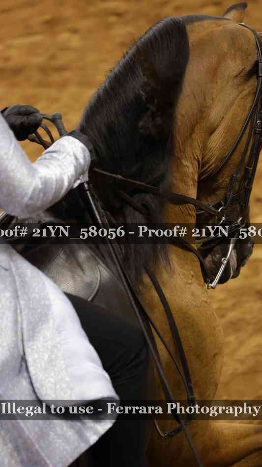 Proof 21YN_58056