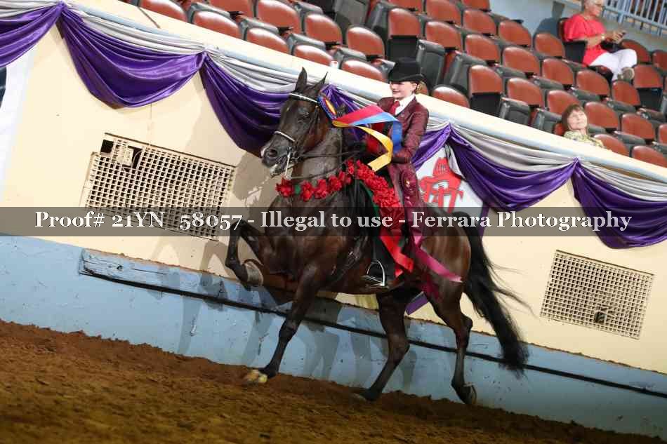 Proof 21YN_58057