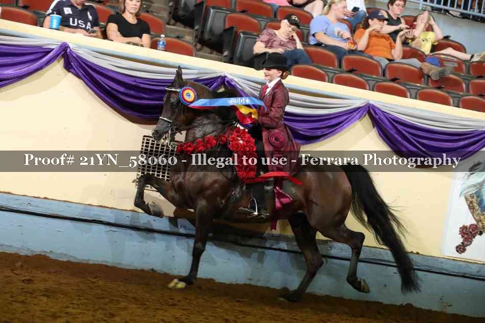 Proof 21YN_58060