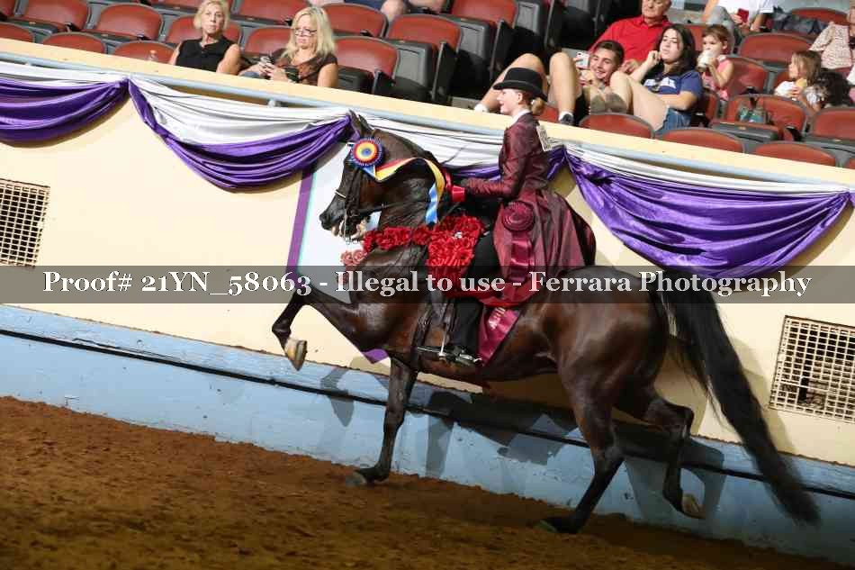 Proof 21YN_58063