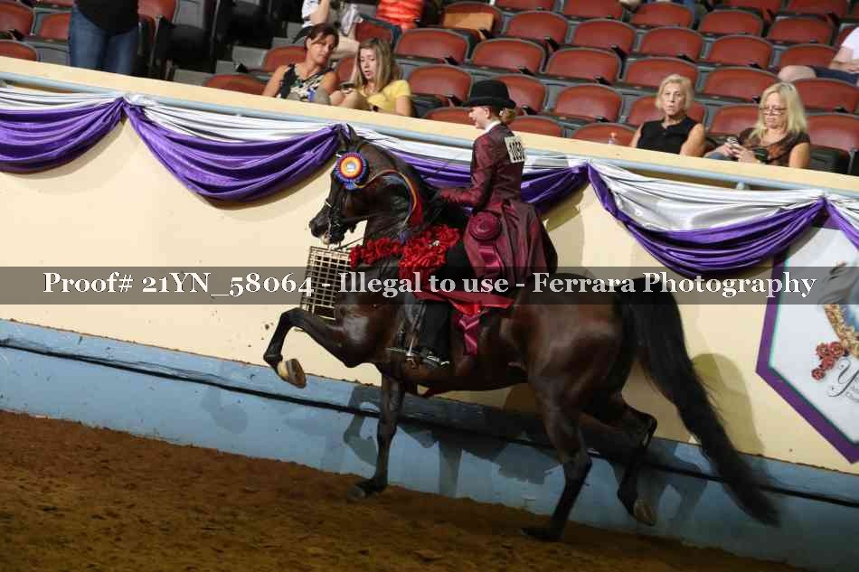 Proof 21YN_58064