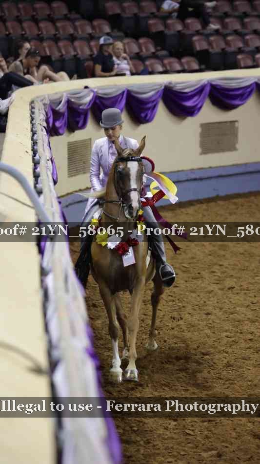 Proof 21YN_58065