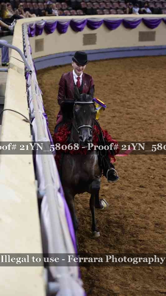 Proof 21YN_58068