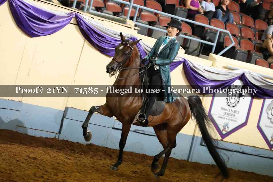 Proof 21YN_71585