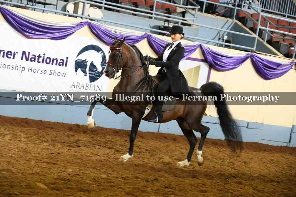 Proof 21YN_71589