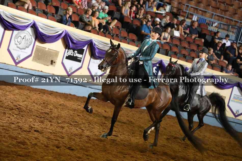 Proof 21YN_71592