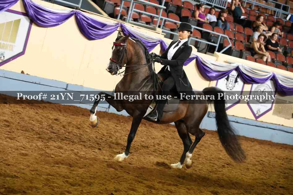 Proof 21YN_71595