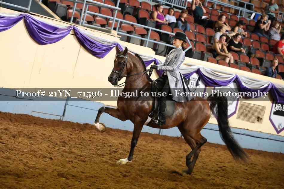 Proof 21YN_71596