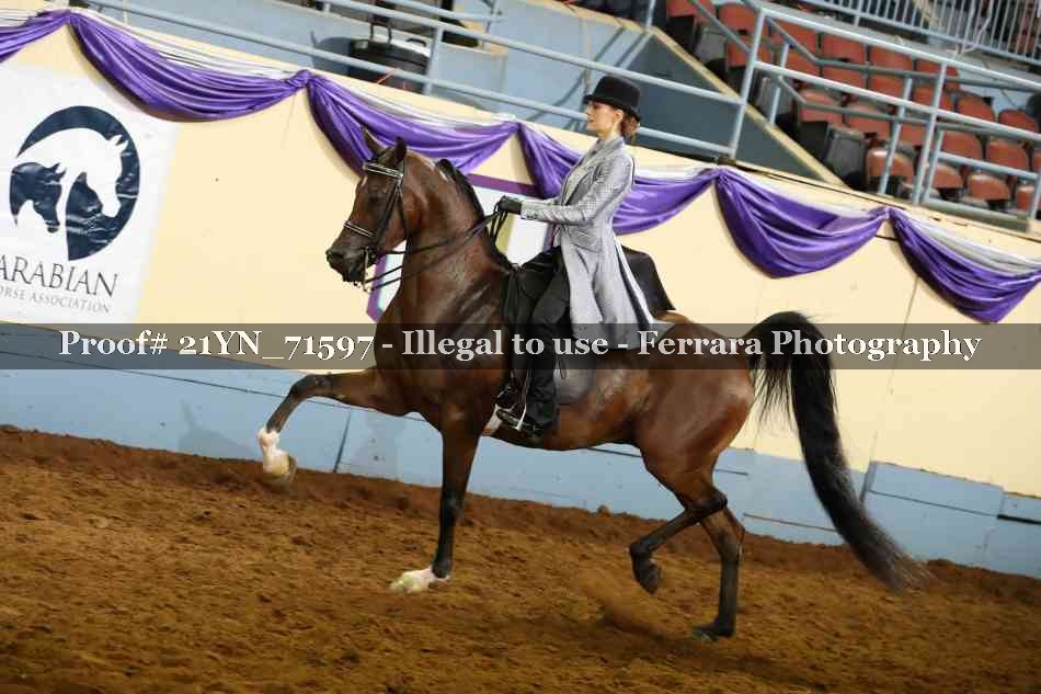 Proof 21YN_71597