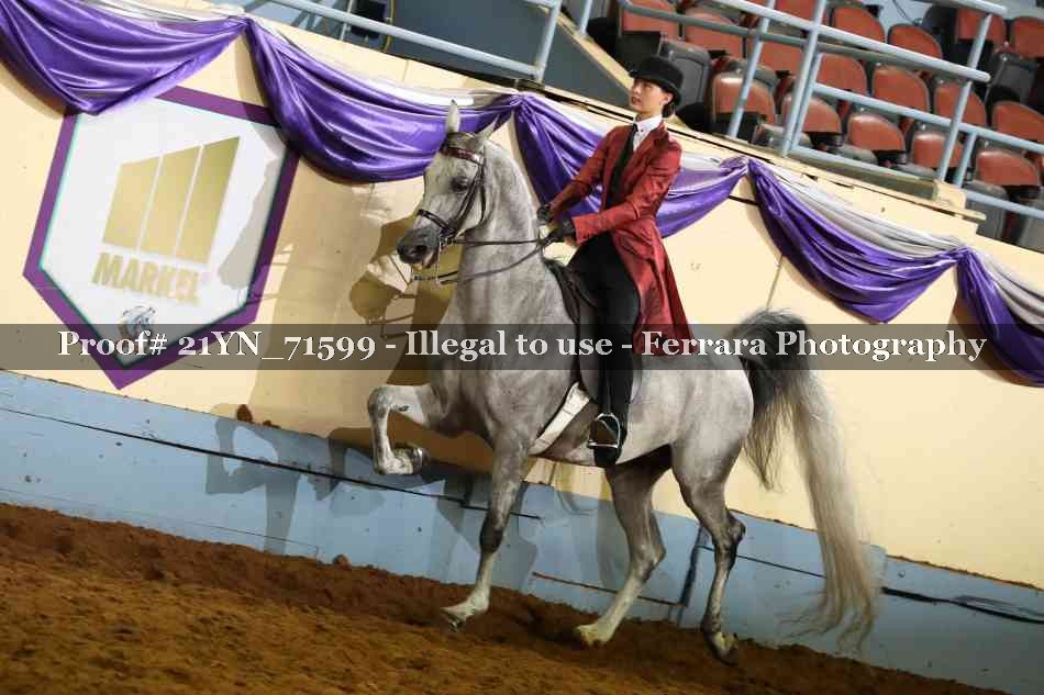 Proof 21YN_71599