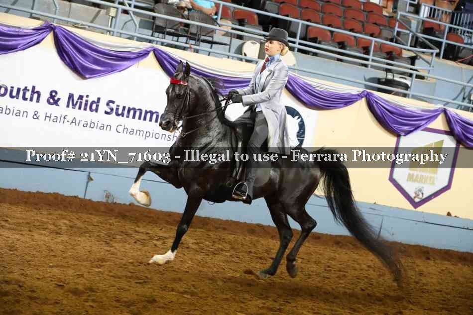Proof 21YN_71603