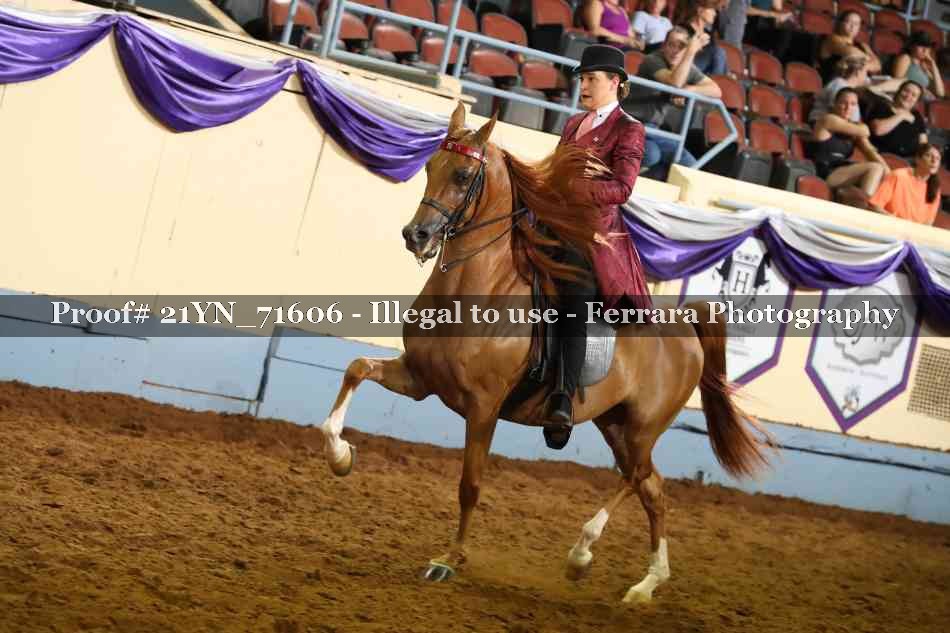 Proof 21YN_71606
