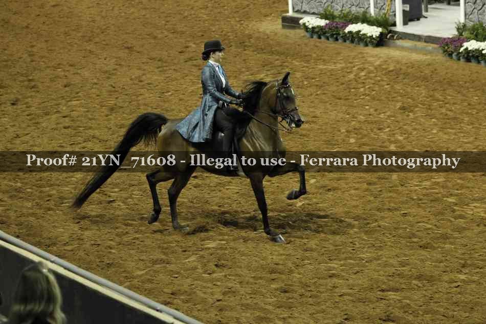 Proof 21YN_71608