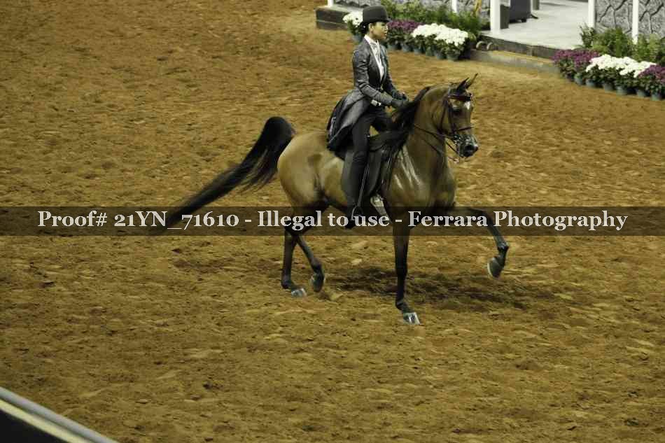 Proof 21YN_71610