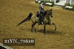 21YN_71610 proof