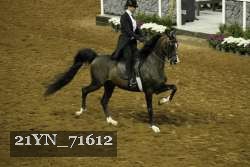 21YN_71612 proof
