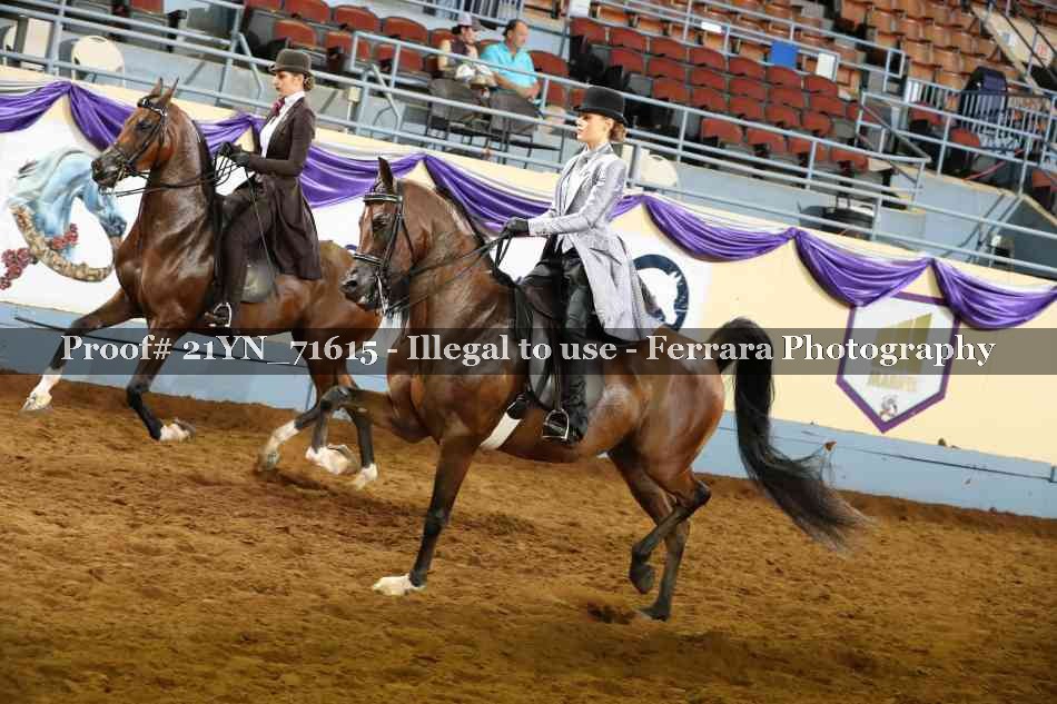 Proof 21YN_71615