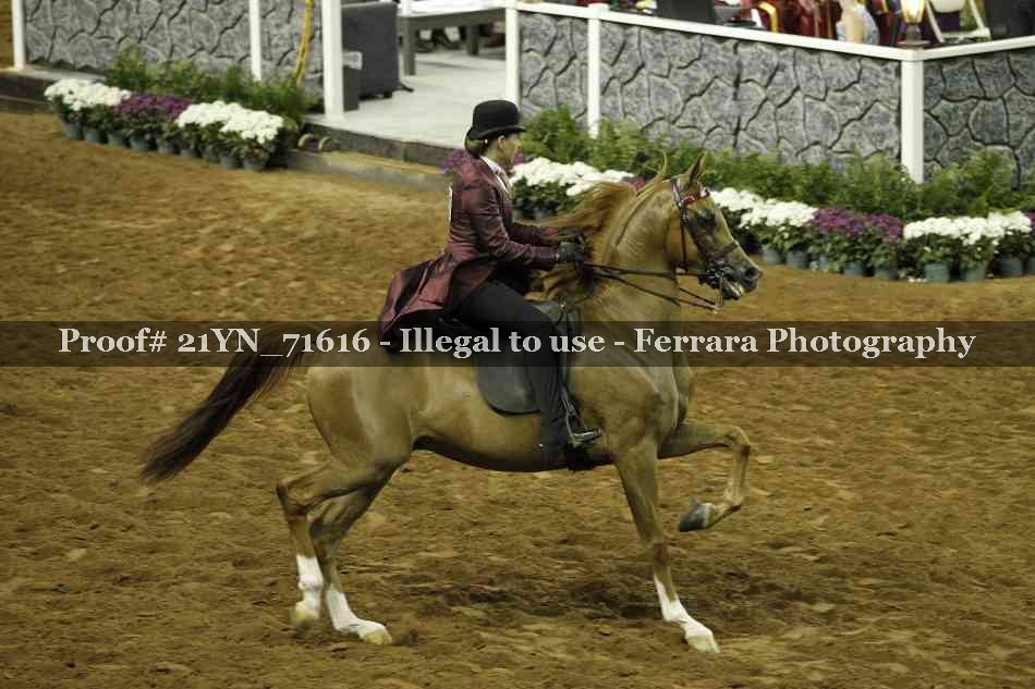 Proof 21YN_71616