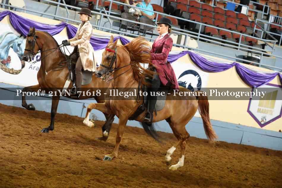 Proof 21YN_71618