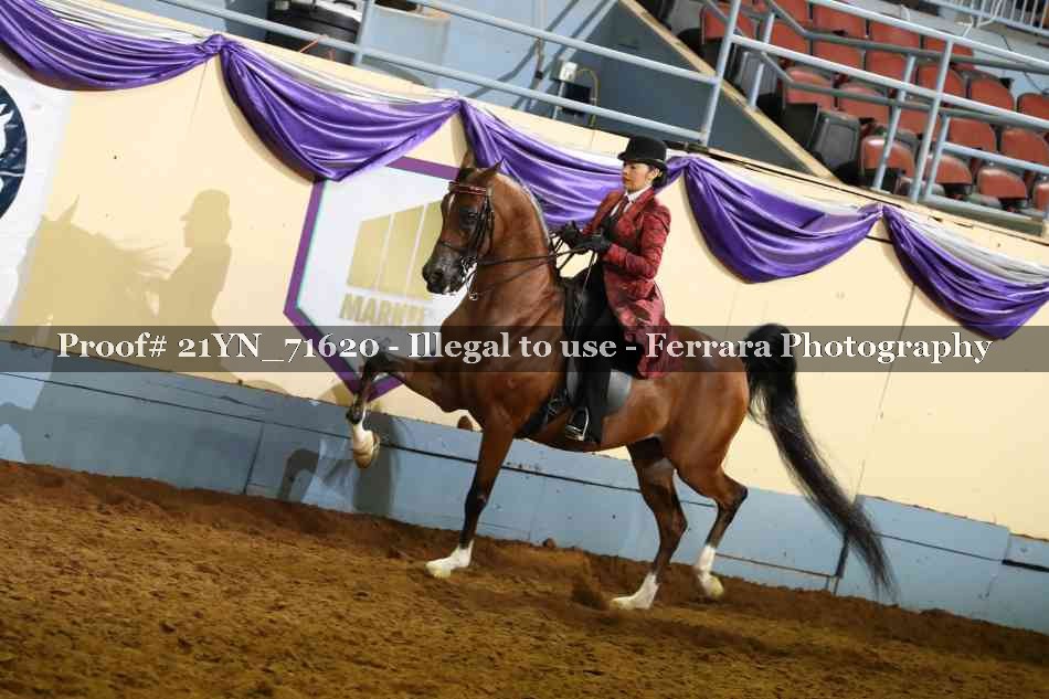 Proof 21YN_71620