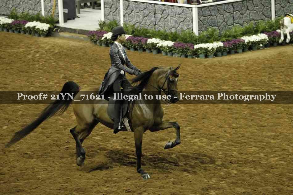 Proof 21YN_71621