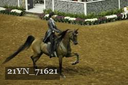 21YN_71621 proof