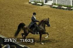 21YN_71623 proof