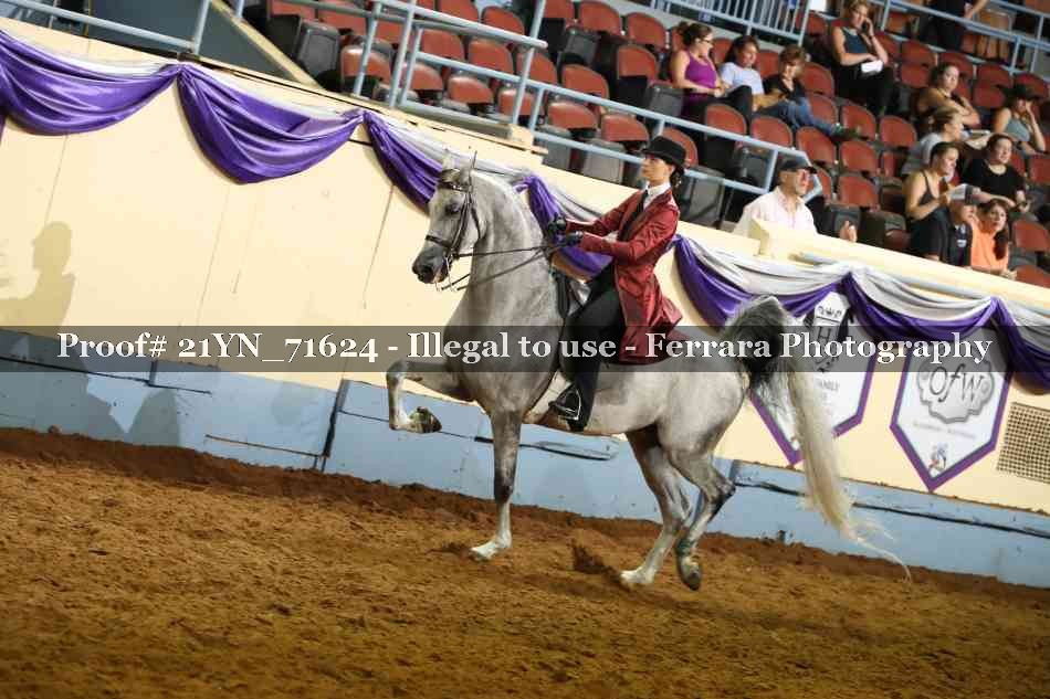 Proof 21YN_71624