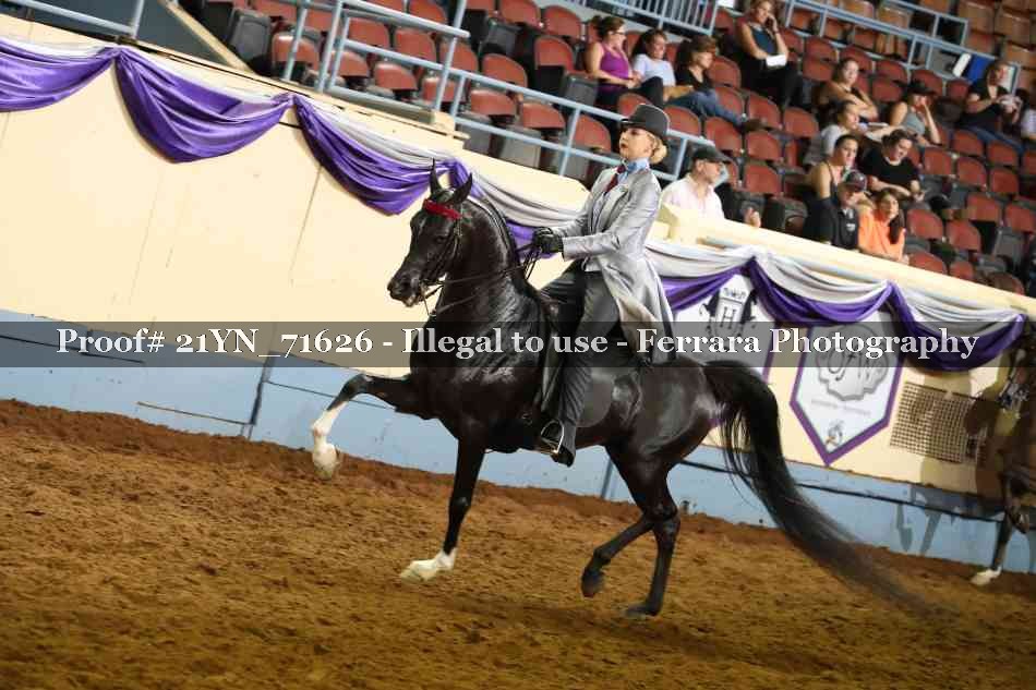Proof 21YN_71626