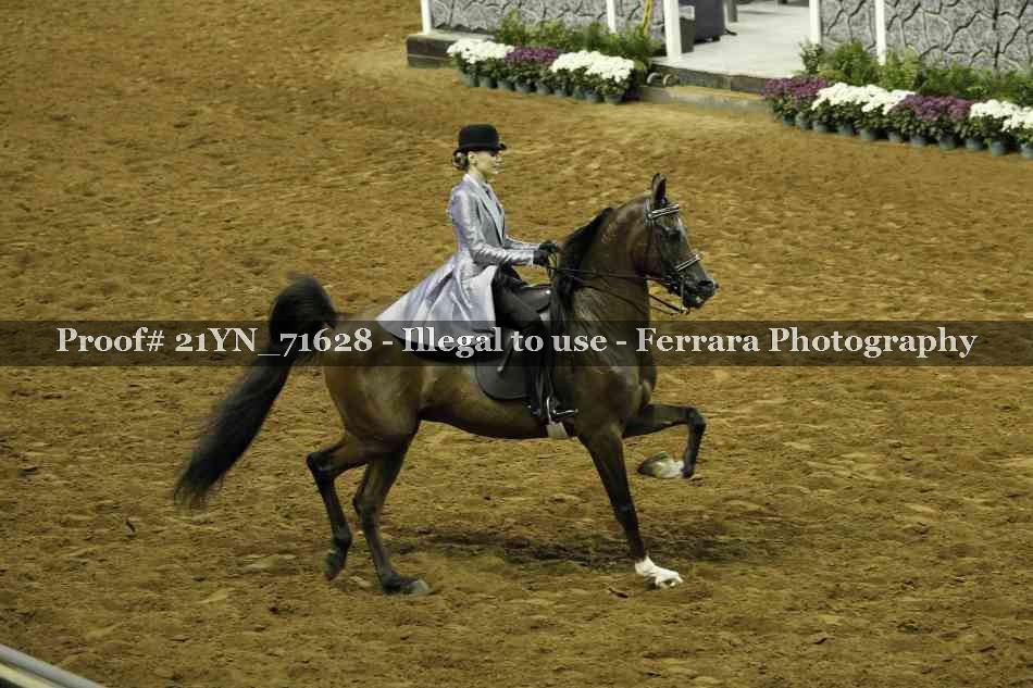 Proof 21YN_71628