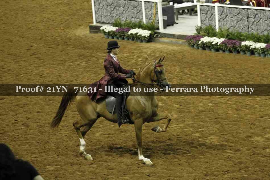 Proof 21YN_71631